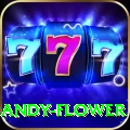 andy flower VIP v4.1.8