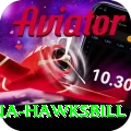 antigua hawksbill Deluxe Pro v4.3.9
