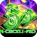 australian cricket Master - Casino & Slots