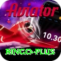 bingo Master Pro v4.7.6