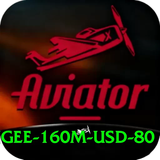 bungee 160m usd 80 Master v2.7.8 - 2