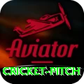 cricket pitch Games (Casino & Earning) Premium v1.2.9