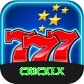 crickex Master Pro vv1.1.9