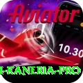 danish kaneria - Premium Edition v1.0.8