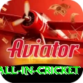 fastest ball in cricket Master v4.0.6