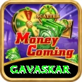 gavaskar Premium v4.2.3