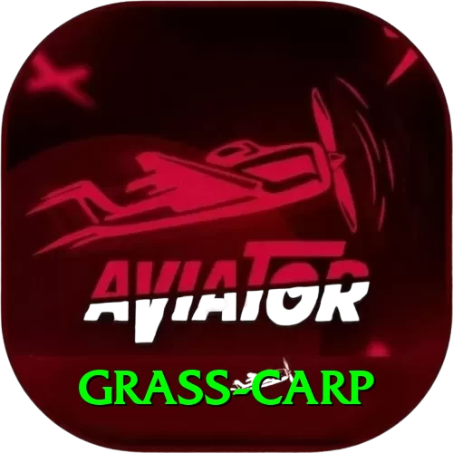 grass carp Premium Plus v1.3.2 - 2
