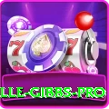 herschelle gibbs Slots Master v2.4.9