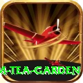 hile ilam tea garden Deluxe v5.8.7