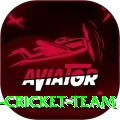 hong kong cricket team Max Pro v1.4.8