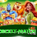 india cricket match Pro v1.6.9
