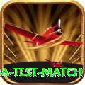 india test match Deluxe Edition v2.3.3