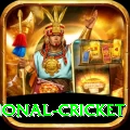 international cricket VIP v4.5.9