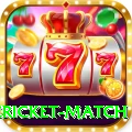 international cricket match Deluxe Edition v4.1.2