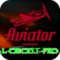 international cricket Money Super v1.2.0