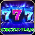 ireland cricket team Max v5.8.6