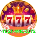 most test wickets Max Pro v4.3.0