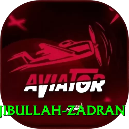 najibullah zadran Pro Max v4.4.4 - 2