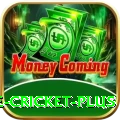 online cricket Max v3.9.4