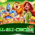 risk free bet cricket Master v1.0.9