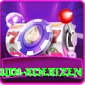 rudi koertzen VIP v3.9.5