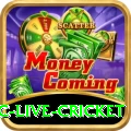smartcric live cricket Games (Casino & Earning) Pro v3.1.5