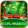 steve waugh Apps (Tools & Injectors) Gold v3.3.0