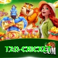 t20 cricket Pro Edition v1.0.0