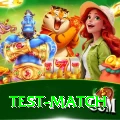 test match Premium v3.2.4