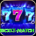 to day cricket match Premium Edition v2.8.8