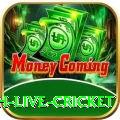 watch live cricket Pro1 v1.0.8