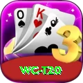 wc t20 Master Pro v5.8.1