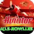 wicket hauls bowlers Turbo v1.0.6