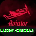 willow cricket Max Pro v3.4.4