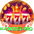willow cricket - Casino Mega
