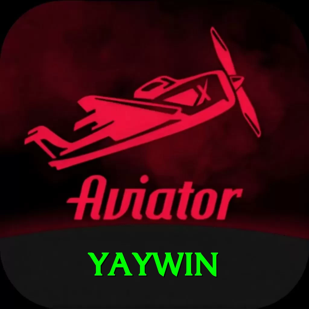 yaywin Plus Pro v4.5.6 - 2